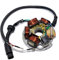 RMS 4251212405923 Lichtmaschine inkl. Grundplatte für Vespa PK50/FL/N/XL/Rush/PK XL