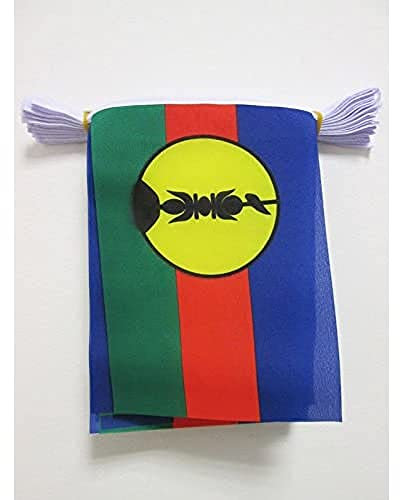 AZ FLAG - Guirlande Drapeau Nouvelle Calédonie - 6 Mètres Avec 20 Fanions Kanak De 21x14 cm - Petits Drapeaux 100% Polyester - 60g