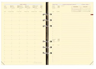 QUO VADIS Recharge 2011/2012 pour agenda Timer 21 Prestige