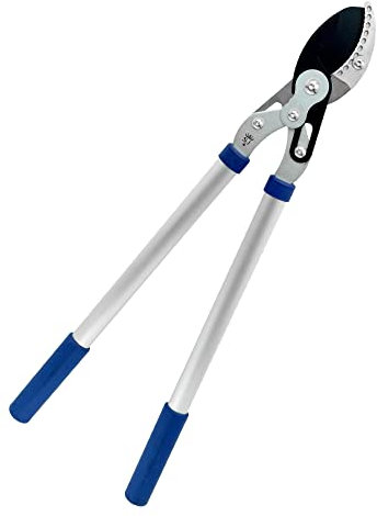 Spear & Jackson 8041RS Sécateur à enclume à double composé de 28 Razorsharp