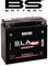 Batterie SLA BS Battery compatible avec Moto BMW 1150 R Rs 2001 à 2004 51913