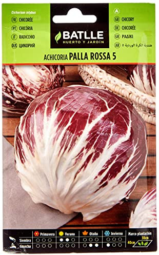 Battle - Semi Ortaggi Radicchio Palla Rossa 5 (3840 Semi)