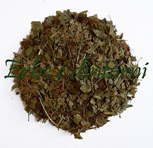 MIRTILLO FOGLIE 100 gr. Diabete, vista