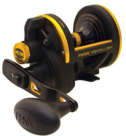Penn Squall Lever Drag SQL30LD
