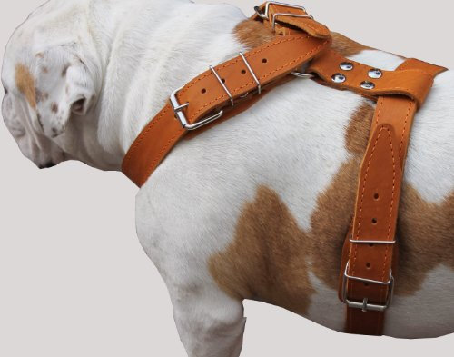 Tan Echtleder Hundegeschirr, große. 88,9 cm-40 Brust, 3,8 cm Breite Träger Mastiff Deutsche Dogge