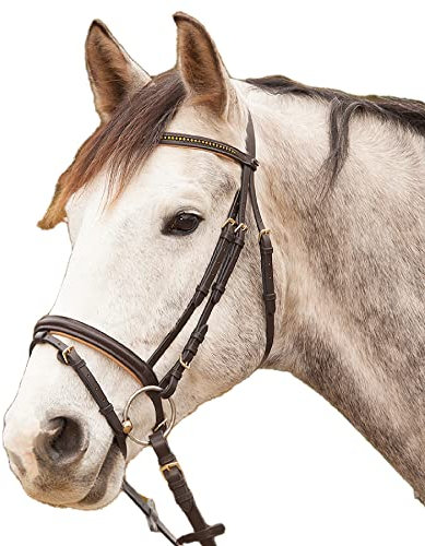 WALDHAUSEN Star Trensenzaum Diamond ENGL.Komb., braun/Gold, Minishetty