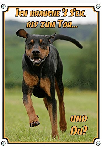 Hundeschild Türschild Französische Bulldogge - artig war gestern!, DIN A3