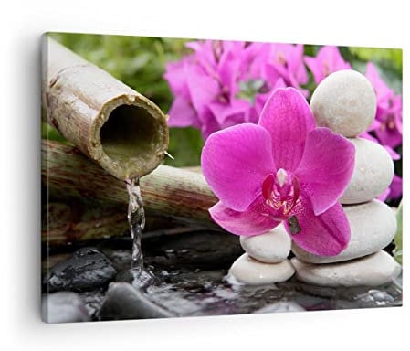 Bilder auf Leinwand Orchidee Bambus Dekoration Spa Leinwandbild 70x50cm Wandbilder Dekoration Wohnzimmer Schlafzimmer Küche Deko Klein Wanddeko Bild Wand Kunstdruck Art Wall Decor Canvas AA70x50-2666