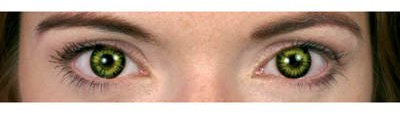 Kontaktlinsen Werwolf, 1 Paar