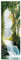 REINDERS Poster, Wasserfälle von Zaragoza, Schlafzimmer, Bilder, Wanddeko, Room Decor, 170 gr. glänzend Bilderdruckpapier, Grün, 158x53cm