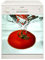 Stickers lave vaisselle Tomate - L 60cm x H 60cm