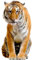Apalis Fenstersticker Fensterfolie Sitzender Tiger Fensterbilder 241 x 122cm