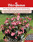 Dürr-Samen BIG-Begonie Rosa Dunkellaubig
