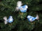3 tlg. Glas, Weihnachten, Vogel Set in'Ice Blau Silber - Christbaumkugeln - Weihnachtsschmuck-Christbaumschmuck