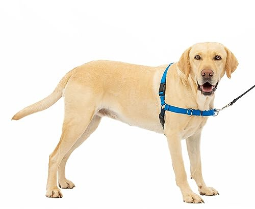 PetSafe Easy Walk dog harness. | Patented Martingale Loop Gives Gradual Shoulder Pressure to Stop Pulling, Front-Chest Leash Clip Prevents Gagging