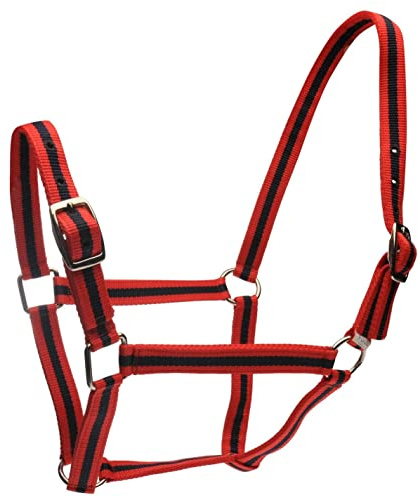 Roma Halter & Lead Set, Red/Navy, Cob