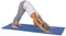 Sunny Health & Fitness Yogamatte, rutschfeste Trainingsmatte für Yoga, Pilates, Stretching, Boden- und Fitnesstraining zu Hause, Blau - NO. 031-B