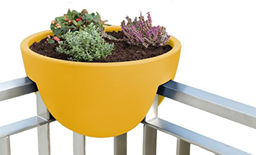 rephorm® eckling (Mango)