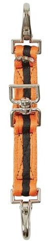 Kincade Brights Two Tone Lunging Attachment