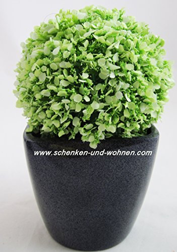 beauty group Pflanztopf Quadrat, Anthrazit glasiert ca. 13 x 13 cm