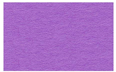 Ursus 2174661 - Tonzeichenpapier lila, DIN A4, 130 g/qm, 100 Blatt, durchgefärbt, hohe Farbbrillanz und Lichtbeständigkeit, aus Frischzellulose, ideale Grundlage für zahlreiche Bastelarbeiten