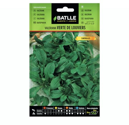 Battle - Semi Aromatici Valeriana Verte Louviers (15Cm)