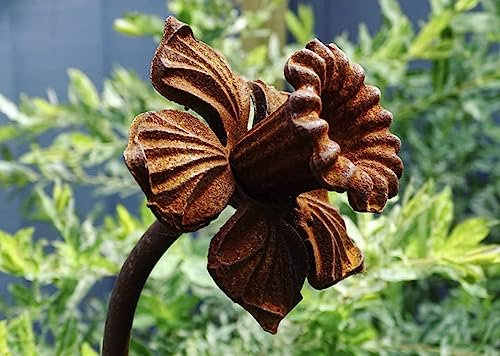 GAP GARDEN PRODUCTS Outdoor Metal rust garden Daffodil Plant Stake/support,garden art (4ft Tall -120cm) Pack of 3