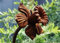 GAP GARDEN PRODUCTS Outdoor Metal rust garden Daffodil Plant Stake/support,garden art (4ft Tall -120cm) Pack of 3