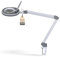 Lumeno 8213GR LED Lupenleuchte Arbeitsplatzleuchte Kosmetiklampe, einstellbare Helligkeitsstufen, kristallklare 127 mm Glaslinse, Lesehilfe/Lupe, 3 Dioptrien