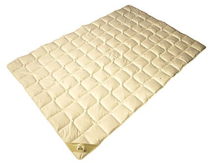 Sommerhit% 246 Wild Seide KBA* Bio Sommer Bettdecke Baumwolle Steppbett 100% Natur hautsymphathisch - natürlich - angenehm kühlend auf der Haut (200x200 cm)