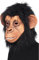 Smiffys Masque de chimpanzé, intégral