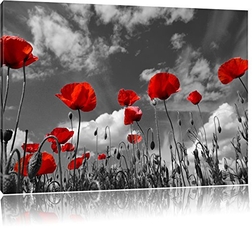 Pixxprint Wiese mit Blumen, Größe: 120x80cm, Leinwandbild, fertig gespannt, Wandbild, Dekoration, Kunstdruck, kein Poster