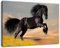 Schwarzes Pferd Format 120x80 cm Bild auf Leinwand, XXL riesige Bilder fertig gerahmt mit Keilrahmen, Kunstdruck auf Wandbild mit Rahmen