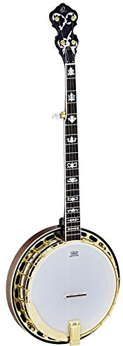 Ortega Guitars Falcon Series Akustik Banjo - Closed Back, Riegelahorn Natur | 5-Saitig, 24 Spannhaken, Armrest Golden, Ahorn-Kessel & Resonator Hochglanz, REMO-Fell matt, inkl. Pro-Gigbag, OBJ950-MA