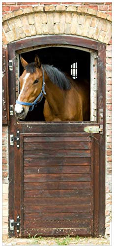 posterdepot Türtapete Türposter Pferd im Stall - Größe 93 x 205 cm, 1 Stück, ktt0439