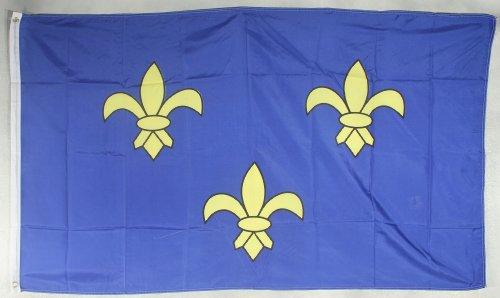 Buddel-Bini Flagge Fahne ca. 90x150 cm : Fleur de LYS Bourbonen