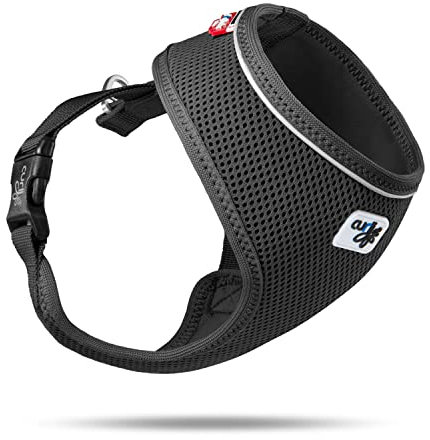 Basic Harness Air-Mesh Black S