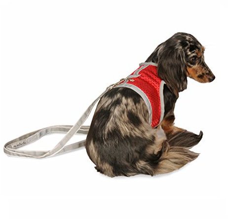 Athletic Mesh Dog Vest Harness_Red_Teacup 3 - from The Inventor of Cloak & Dawggie