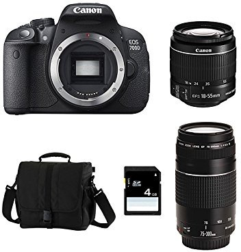 CANON EOS 700D + 18-55 IS + 75-300 III + Sac + SD 4Go