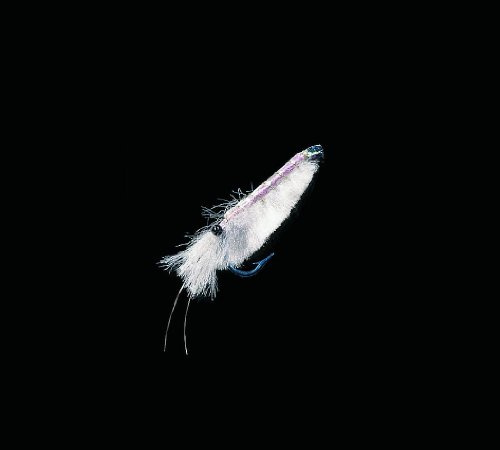 Dega Meeres-BeifÃƒ¤nger Fliege weiÃƒŸ