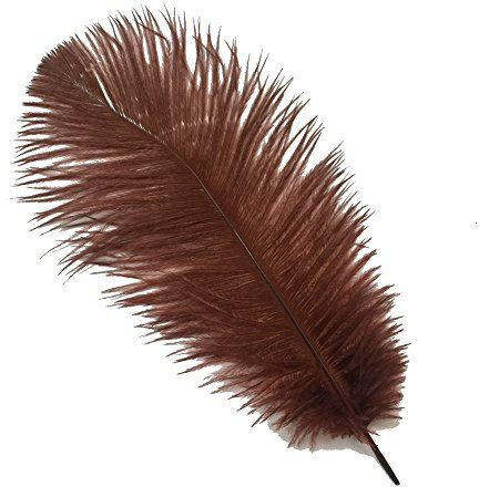 Sowder 10pcs Strauß-Federn 12-14inch (30-35cm) für Haupthochzeits-Dekoration (Braun)