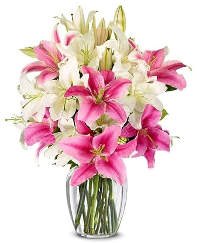 From You Flowers - Stunning Pink and White Lilies with Glass Vase | Fresh Flower Bouquets for Birthday, Anniversary, Get Well or Celebration