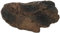 Zoo Med Naturalistische Terrarium Pilz,