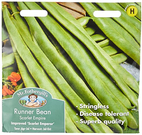 Mr Fothergill's Runner Bean Scarlet Empire (Stringless)