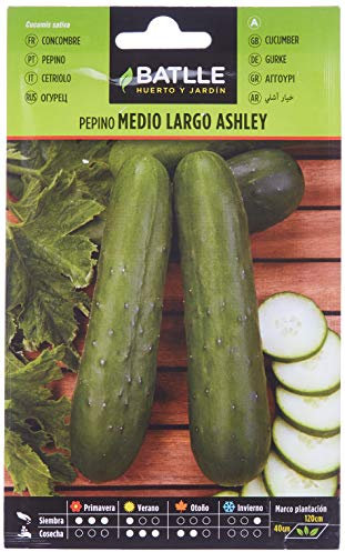 Semillas Batlle Pepino ASHLEY medio largo