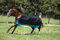 Horseware Mio Turnout Medium Pferdedecke 200 Gramm