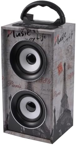 Ibiza Mini-Colonne Autonome USB/SD/AUX/Bluetooth/FM