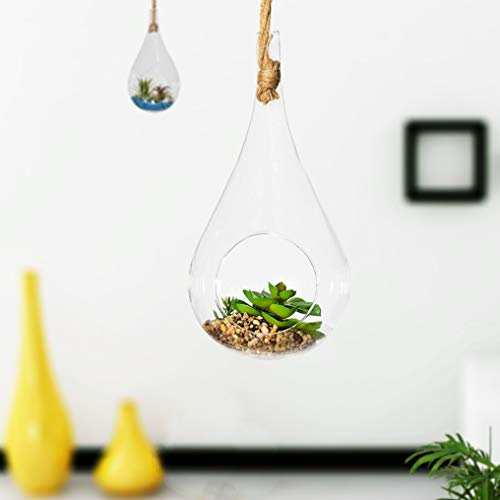 Rope Glaskugel, 11,9 cm x 22,7 cm, zum Aufhängen, aus transparentem Glas, Tropfenform, Terrarium, hängende Sukkulenten, Luftpflanzen, Halter für Gartenversorgung