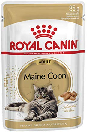 Royal Canin Maine Coon Adult | 12 x 85 g | Nassfutter für Katzen | Speziell auf die Bedürfnisse von Maine Coon Katzen abgestimmt | Mit angepasstem Energiegehalt