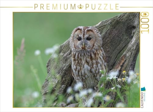CALVENDO Puzzle Waldkauz | 1000 Teile Lege-Größe 64 x 48 cm Foto-Puzzle für glückliche Stunden